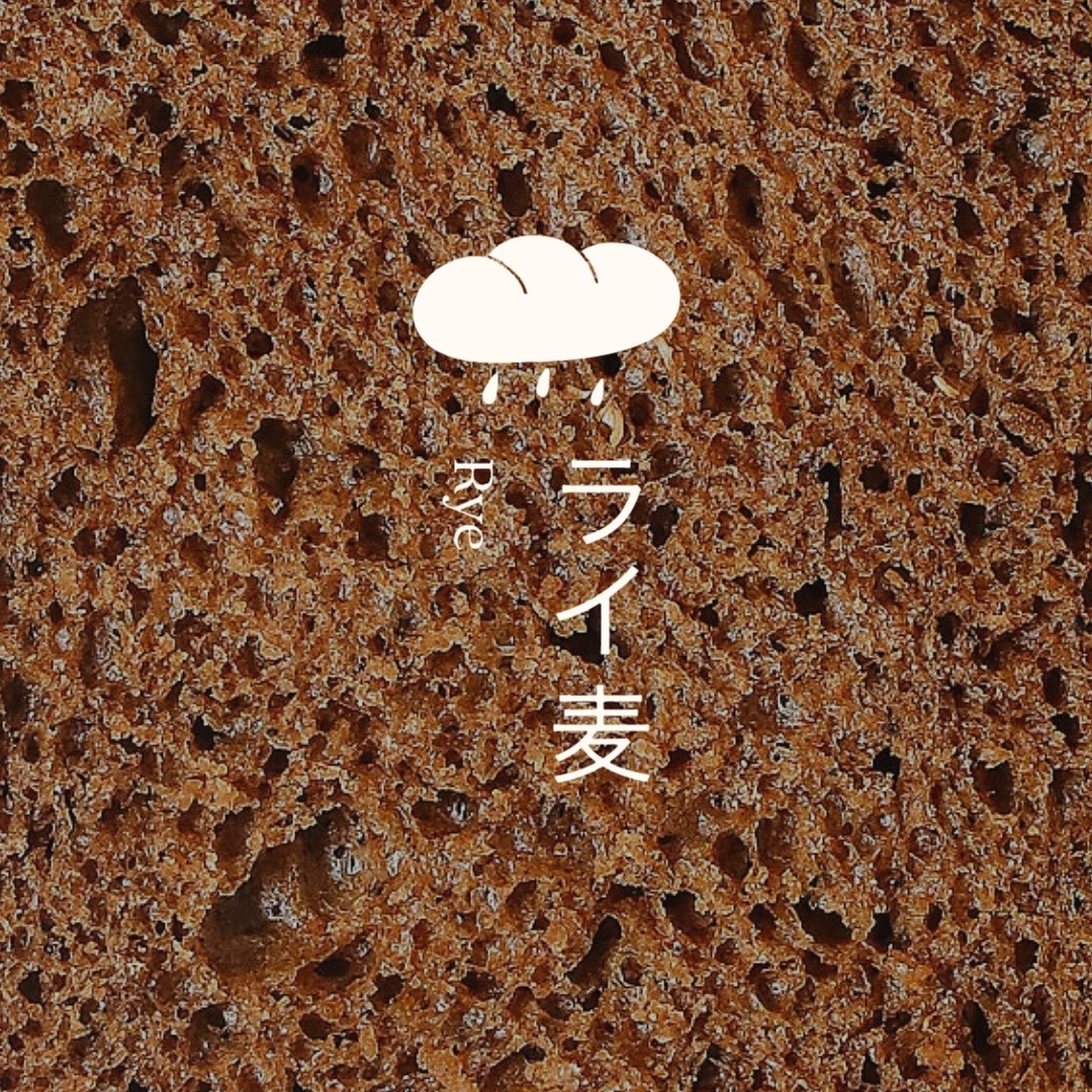 1764724030335637.jpg 1764724030335637.jpg