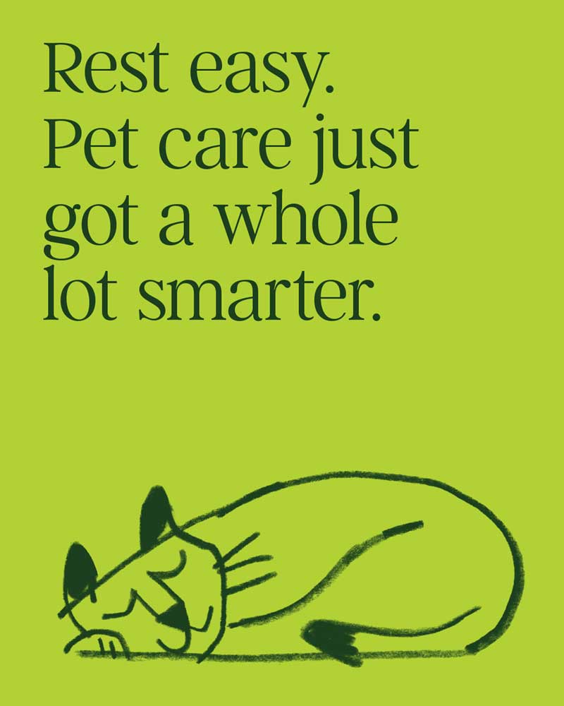 1764896659723622.jpg 1764896659723622.jpg