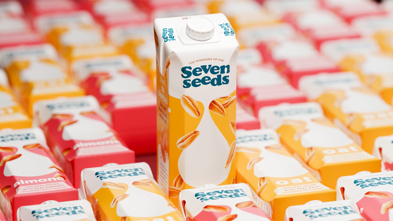 1765791658586386.jpg 1765791658586386.jpg