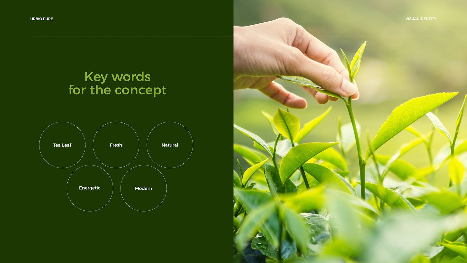 1773968873838933.jpg 1773968873838933.jpg