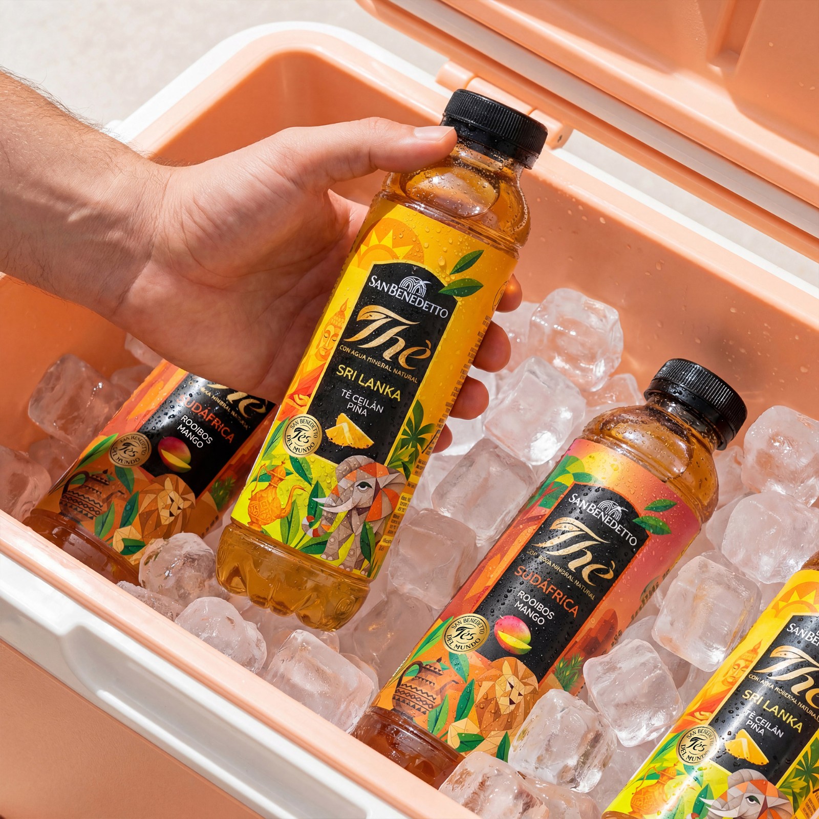 1775709085637933.jpg 1775709085637933.jpg