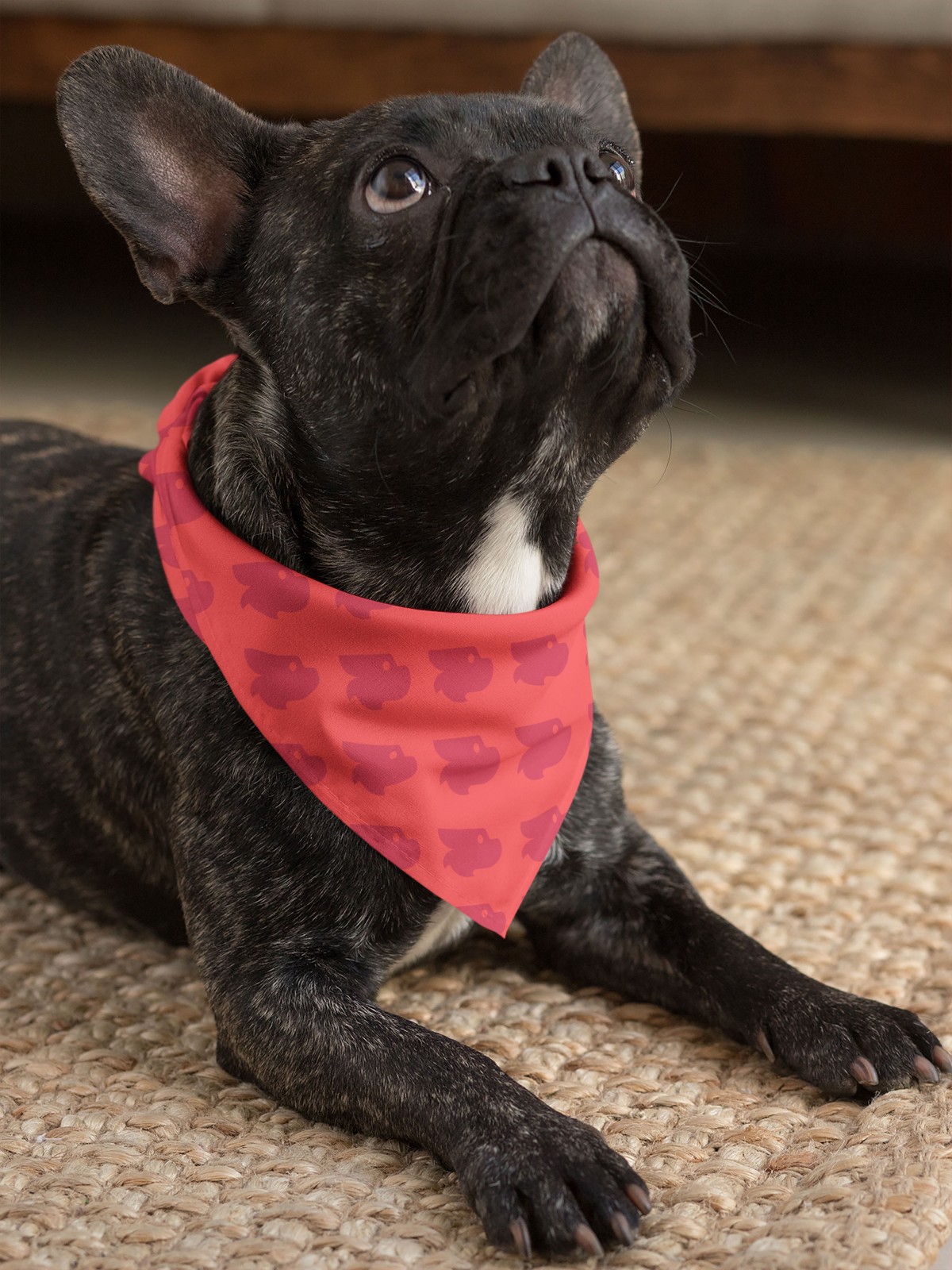 1776301967136759.jpg 1776301967136759.jpg